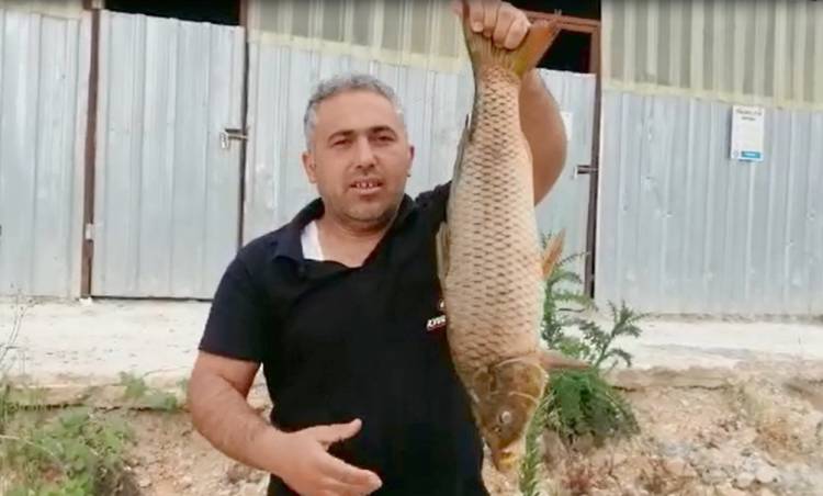 MALKARA ÇİMENDERE'DE BALIK ÖLÜMLERİ KÖYLÜLERİ TEDİRGİN ETTİ