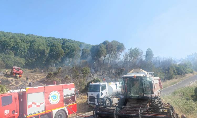 ŞARKÖY’DE ÜÇ AYRI BÖLGEDE YANGIN