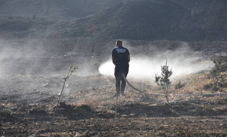 Şarköy’deki Yangın, Rüzgarın Etkisiyle Kısa Sürede Büyüdü, Yazlık Sitedeki Evlerde Panik Yaşandı