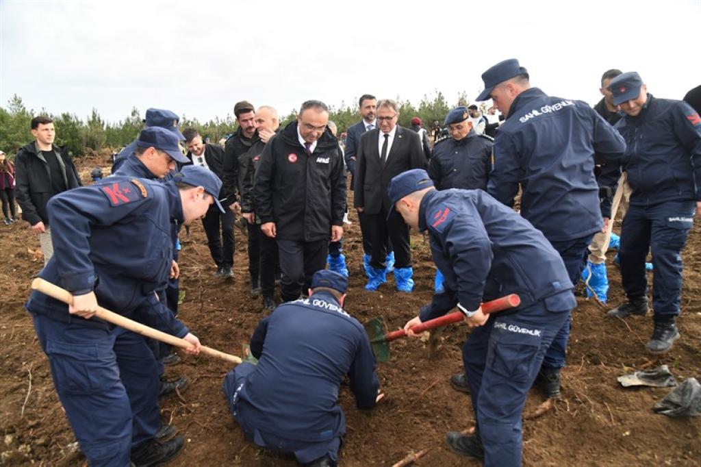 Şarköy’de yanan alanlara  3 bin fidan dikildi