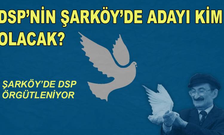 DSP yerel seçimlere girebilecek