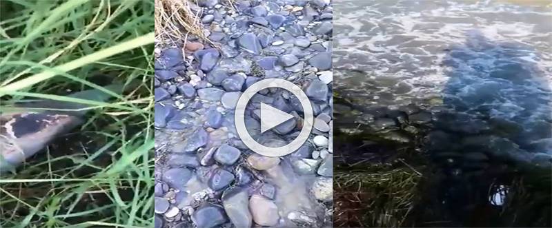 KANALİZASYON ATIKLARINI DENİZE AKITIYORLAR