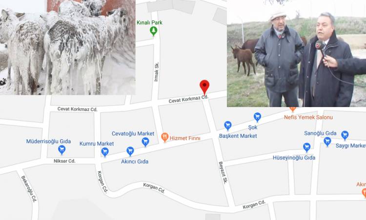 Şarköy Belediyesinin Yapamadığını Kumru Belediyesi Yaptı.