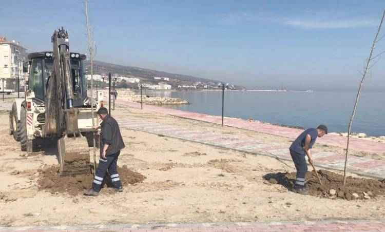 Şarköy'e Bahar Martın Ortasında Geldi