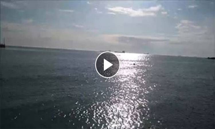 Sıcak havayı görünce denize girdi