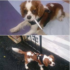 TEKİRDAĞ / ŞARKÖY KAYIP