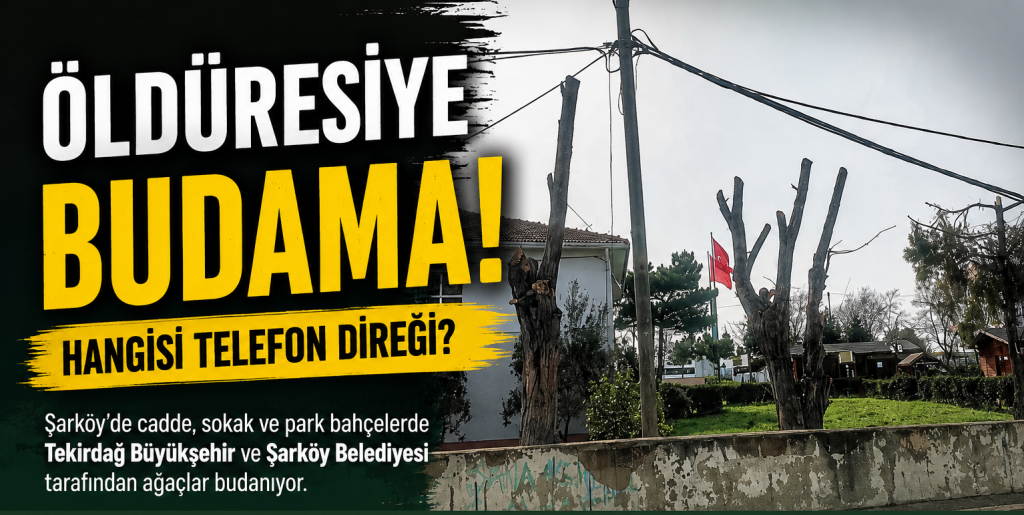 Öldüresiye Budama ! Hangisi Telefon Direği?