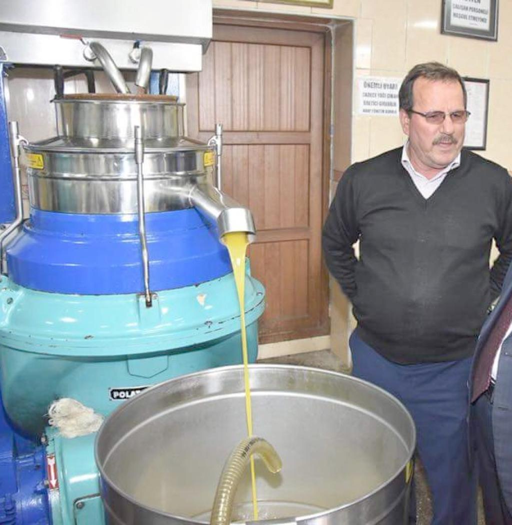 Zeytinde 'Yok yılı'