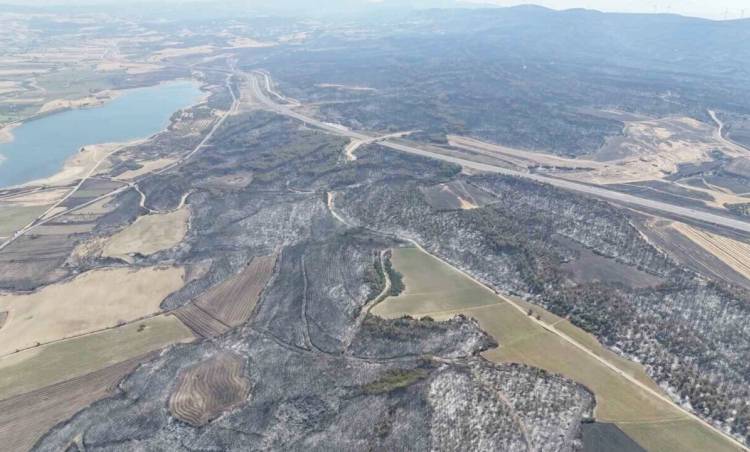 Şarköy'deki Orman Yangını 85 Hektar Alanı Kül Etti