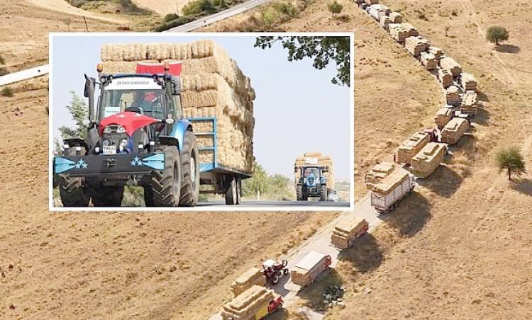 Şarköy’deki orman yangınında zarar gören üreticilere 150 ton saman yardımı