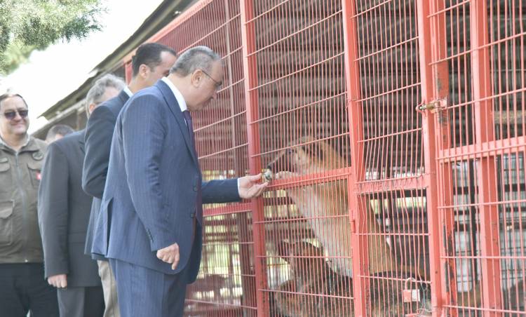 VALİ  SOYTÜRK KÖPEK  MAPUSHANESİNİ ZİYARET ETTİ